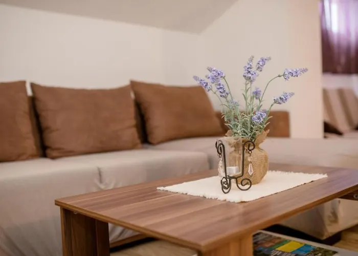 Scerbe Gordana & Miljenko Rab 公寓 *